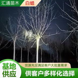 6&mdash;12�����ϰ�Ϟ�@�ֹ��̾G����ľֲ��@ͥԺ�쾰���Ӱ�Ϟ��F؛