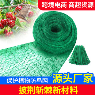 �羳���N���B�W ͥԺ����r�B���B�W ���@���o�W����ϩpe�D���W