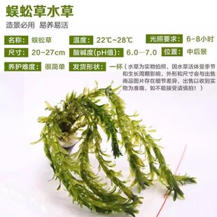 ����ˮ��ֲ���B���~�ݸ׃�ˮ�Gֲ�����B�~�G���~���쾰��ˮ��