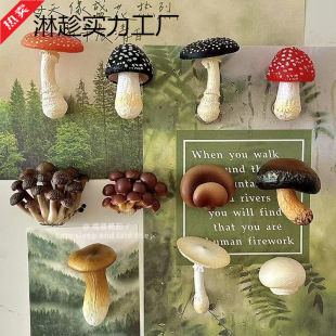 ������Ͼ����㹽Ģ�������N�����b���Ҿ��b�Ʒ�����T����