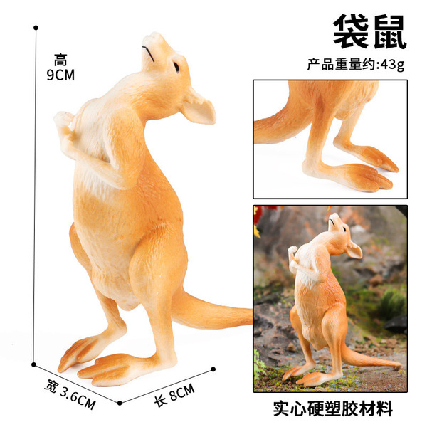 Kangaroo