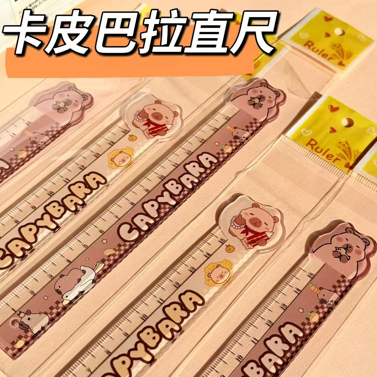 cartoon acrylic ruler for students