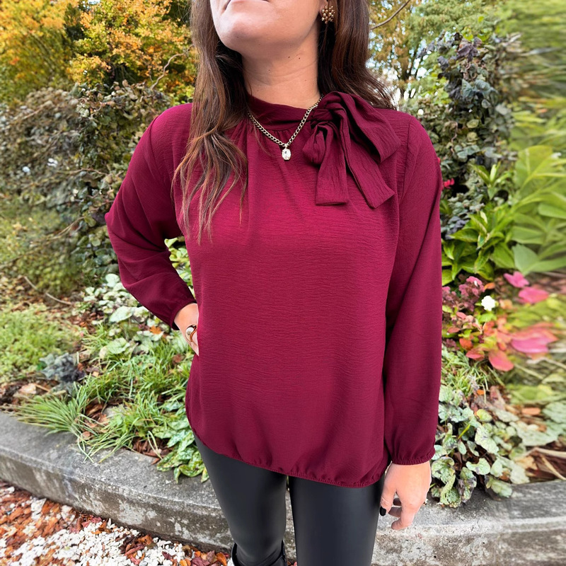 Cross-border Europe and America Amazon New Elegant Long-sleeved Shirt Spring and Autumn Women's Solid Color Tie Bow Top