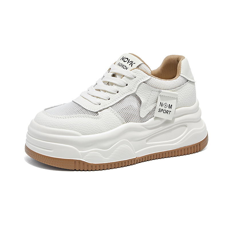 살구색 컬러 웹