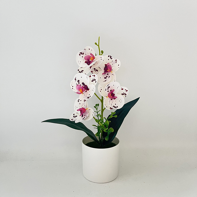 흰색 도트 보라색 (높이 31*가로 17cm)