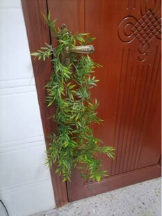 �������~�ٱڒ��b������ٻ��ٗl�͏d�҃Ƞ��������ϻ��Gֲ��