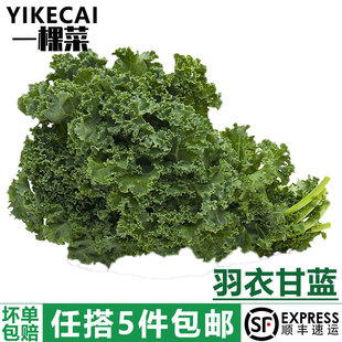 ��yikecai�����¸��{500g ���r�߲����~���mkale����ե֭5�����]1