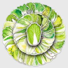 50张白菜贴纸青菜卡通绿色蔬菜食物创意防水装饰冰箱饭盒手帐贴纸