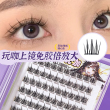 �������z���濧�ٽ�ëŮʮ�Ŵ�������Ȼ������ճ��ϵ�����ٽ�ë