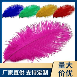 羽毛、羽绒;除尘掸