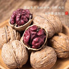 �½��t�º��һ�������ϼtƤ���҈Թ���ʳ���S���lֱ�N