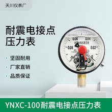 电接点压力表YNXC100耐震磁助式径向标准螺纹M20*1.5触点电压30VA