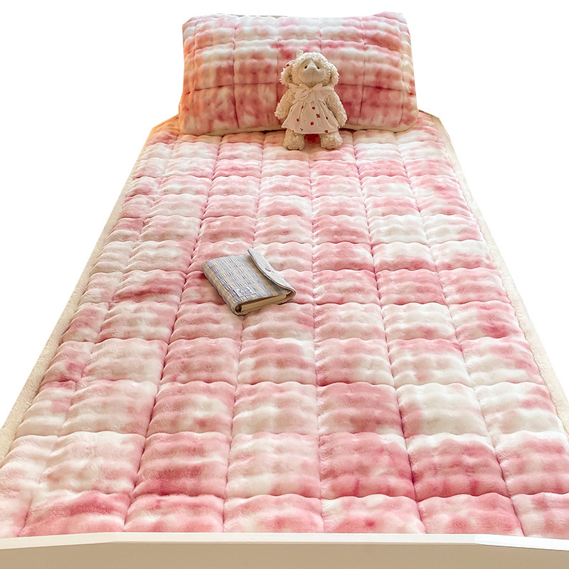 Otoño y invierno colchón de peluche dormitorio de estudiantes individuales leche de peluche 90X190 mantas de cama de peluche de coral
