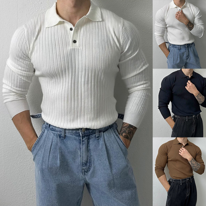 Spring and Autumn New Polo Shirt Lapel Long Sleeve Sweater Men's Light Mature Slim Business Trendy Foreign Trade Cross-Border Wholesale