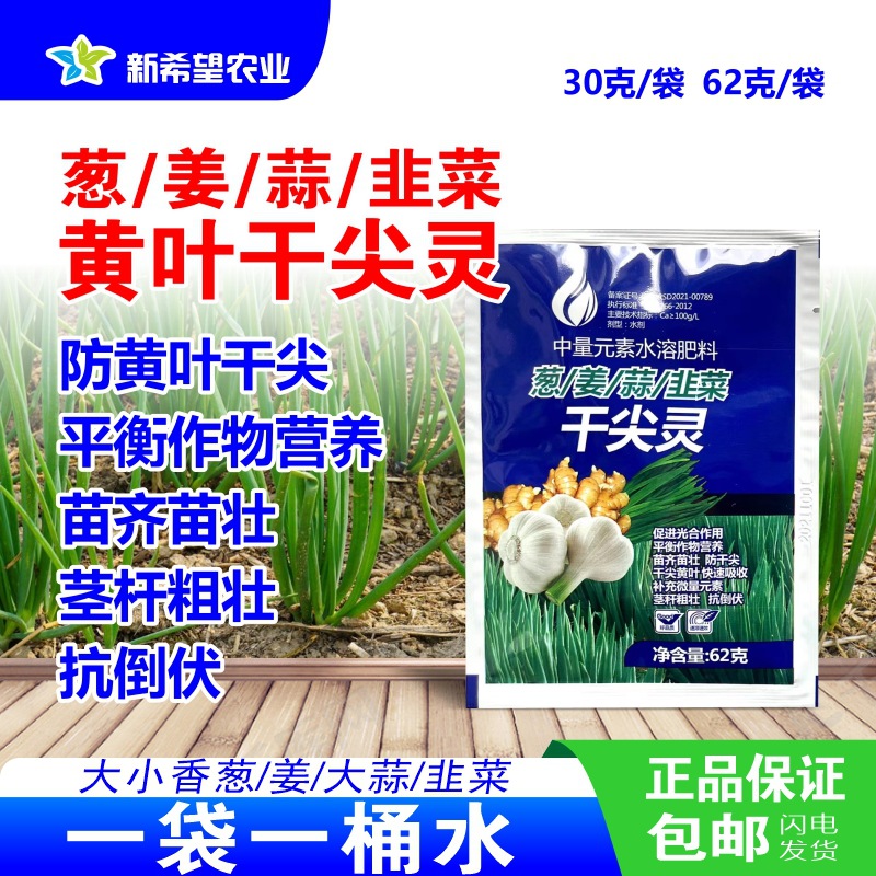 葱/姜/蒜/韭菜 黄叶干尖灵平衡作物营养 苗齐苗壮