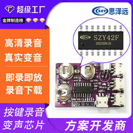 ISD1820芯片 COB喊话器IC 录音IC芯片 录音播放芯片 变音贺卡芯片