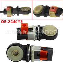 2444Y5�m��춘���206ѩ�F��C2��܇�Ԅ�׃����n�U�����r�������