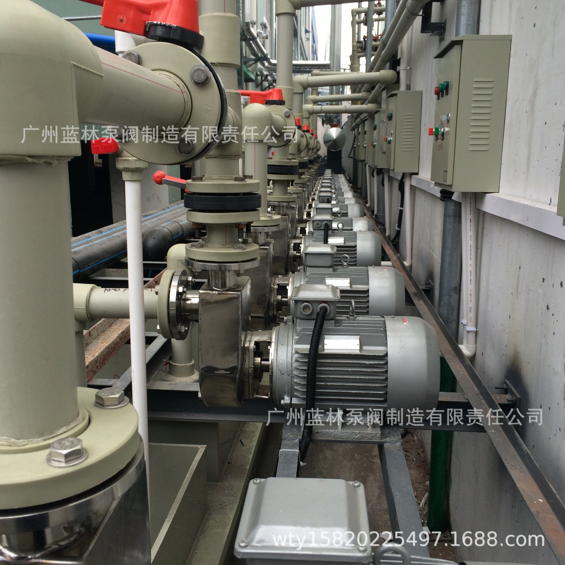 食品级不锈钢自吸泵 50WBZS15-22食品不锈钢离心抽酒水泵