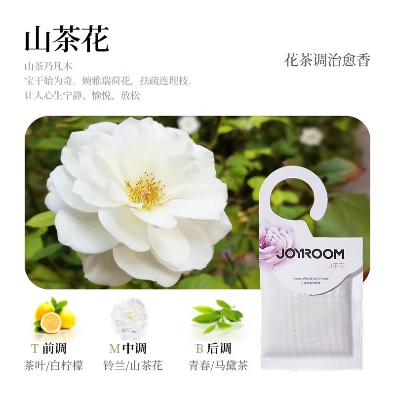 8팩 [옥룡차향]