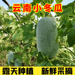 ������rС�����r���ԷN�����߲����rֱ���������l����3��5���Q��