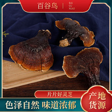 ߅`֥Ұ؛֦`֥֥ݾƲҜÿƬ