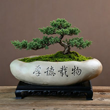 �����҃��辰���ջ����մɴ�̖��ʯ���;Gֲ�쾰����ѩ�ܘ䌣����