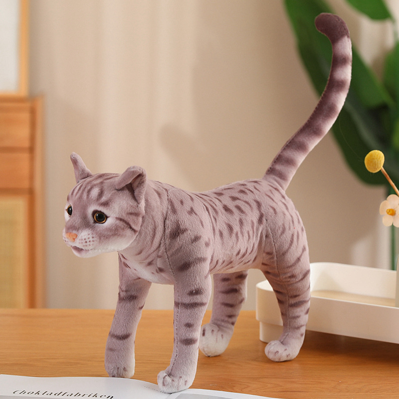 Simulation Cat-Ca