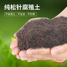 �B���I�B�����~������ͨ�������B���I�B���l���������͸��