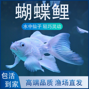 ̨���������~���N����������β�\����ˮ�~���~�^�p�lؔ�~