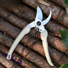 ARS130DX��֦��@ˇ���߼�����֦���������֦��ʡ����