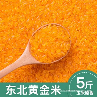 �|���S���״ּZ�������ľG���������׸ߜغ決����5�����l