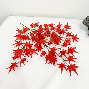 ��� ������~3辶��^��Ǘ��~�uצ���٘��~�ӈ@�־��^�b����~