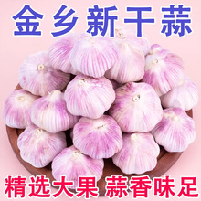 ���l��Ƥ����5���b���r�ɴ����^������������r�߲��������l