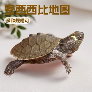 南丰县斌利水产品店