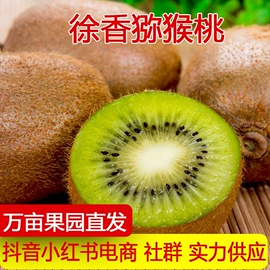 其他水果;柑桔;梨