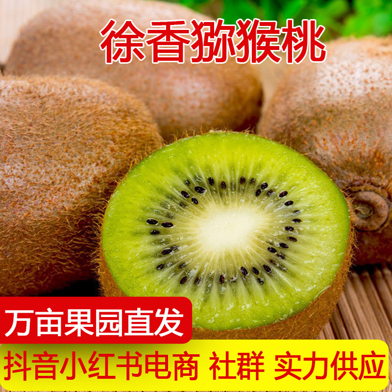 Directly shipped from the origin: Xu Xiang kiwi fruit, Zhouzhi green-fleshed fresh fruit, kiwi for pregnant women, one-piece drop shipping