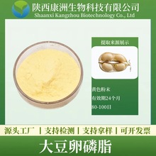 大豆卵磷脂50%-90% 植物大豆提取 康洲 大豆蛋黄素 现货 量大从优