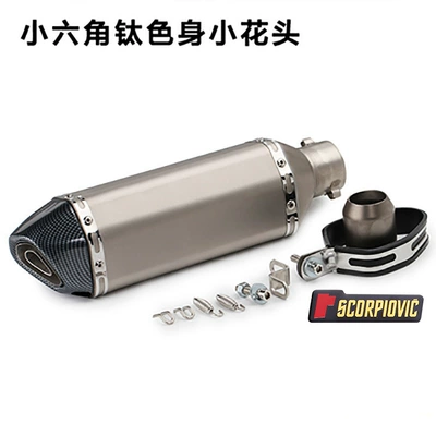 Exhaust Pipe Huanglong 600 Horizon Exhaust pipe - small-hexagonal-titanium-body-with-small-flower-head-labeling