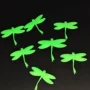 立体发光夜光荧光蜘蛛