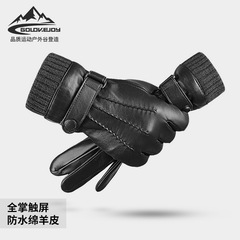 Autumn/Winter Genuine Leather Men's Warm Fleece Lined Thick Windproof Waterproof Touch Screen Riding Driving Sheepskin DP20