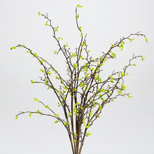 Gֲѿ֦ѿѿٻɿ֦^OӋ҃쾰ܛb廨