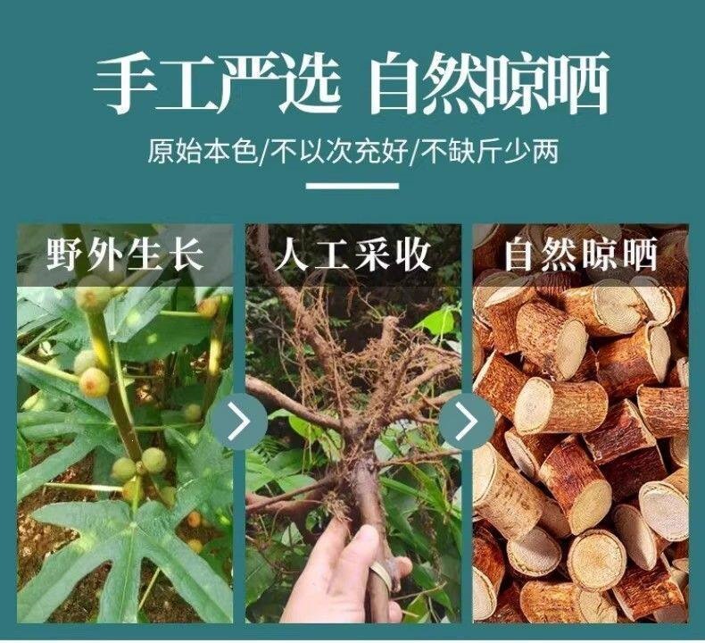 Wu Zhi Mao Tao Five-Finger Fig Root Dried Hairy Fig Root Slices for Decoction and Soup 500g quality and texture
