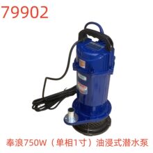 ����750W������1�磩�ͽ�ʽǱˮ��-79902��