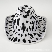 羳ڰɫţyRyţñɌEVAͺϽzqñ