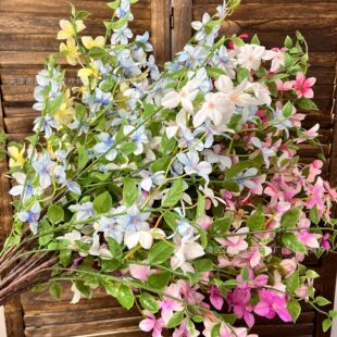 �¿������㺆�s��Ȼ���滨���W��@�L�Ҿ�ɭϵ��Y�ò廨�Ĕz����