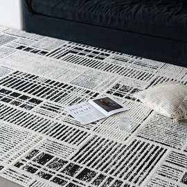 威尔顿机织家用客厅地毯防水可擦免洗轻奢高级感沙发卧室床边垫