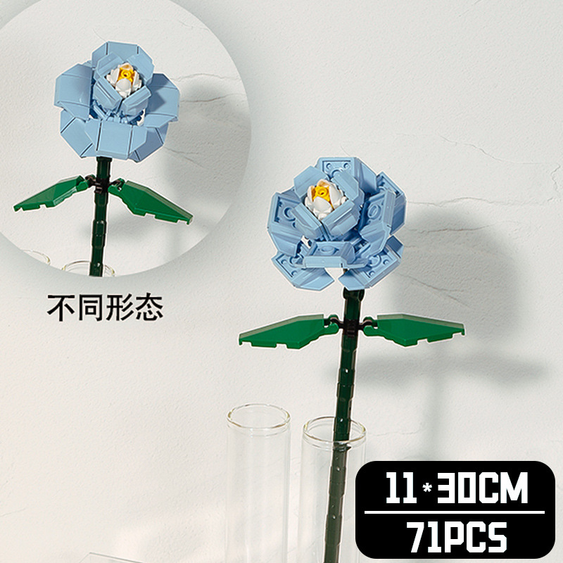 蓝玫瑰（袋装）