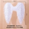 White downward wings (60*60)
