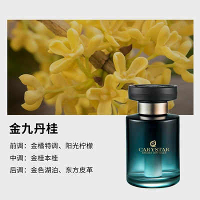 Car Perfume Aromatherapy Perfume, High-End Car Scent - gradient-green-golden-kowloon-dangui