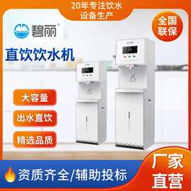 碧丽嵌入式成都饮水机净水器家用直饮机净饮机管线机冰水即热过滤